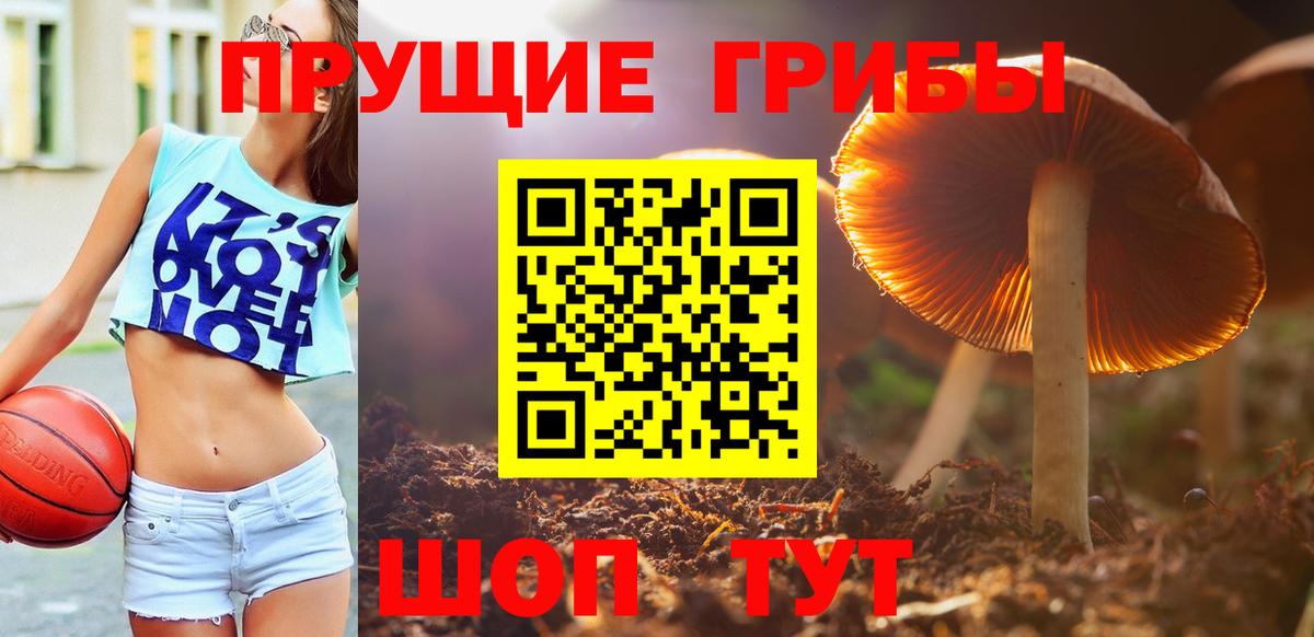 Галлюциногенные грибы ЛСД Карталы