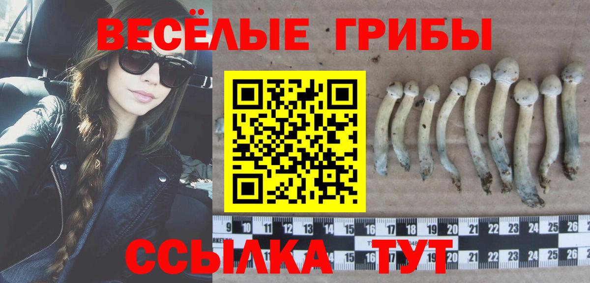 Карталы  Галлюциногенные грибы Cubensis  закладки  Псилоцибиновые грибы Psilocybe  Вход с VPN 